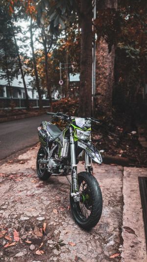 Wallpaper